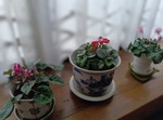 250208072405632~2.JPG