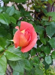 250520084004151.JPG
