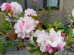 250520084030745.JPG
