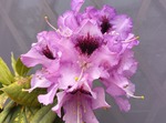 250520084048638.JPG