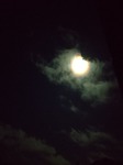DSC_0328~2.JPG
