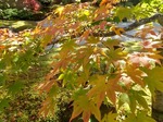 DSC_0367-aa5fc.JPG