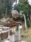 DSC_0725~2.JPG