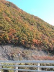 IMG_20181104_121141.jpg