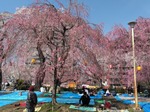 IMG_20190414_092937.jpg
