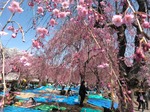 IMG_20190414_101224.jpg
