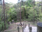 IMG_20190506_113320-eccbb.jpg