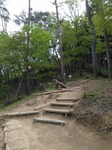 IMG_20190506_113439.jpg