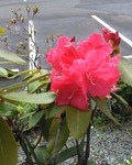 IMG_20190515_095726~2.jpg