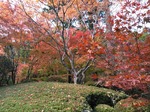 IMG_20191110_102916.jpg