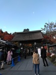 IMG_20191110_103143.jpg