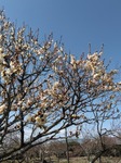 IMG_20200301_121342.jpg