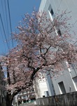 IMG_20200404_102336~2.jpg
