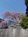 IMG_20200404_104056~2.jpg