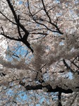 IMG_20200408_134135-8a964.jpg