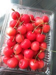 IMG_20200629_054842.jpg