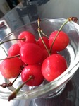 IMG_20200629_055354.jpg