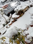 SNOW_20250112_112414_771-28223.jpg