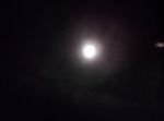 WS000004.JPG